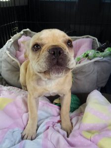 14671070_10154764712216614_6671144043431209658_n