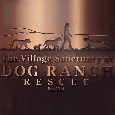 Dog Ranch Rescue | Rescues dogs from puppy mills and shelters.