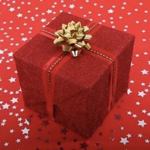 Auction Gift for DRR 500.00