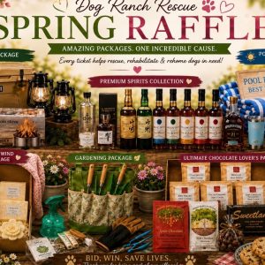 2. Tickets for the Spring Raffle Fun Packages