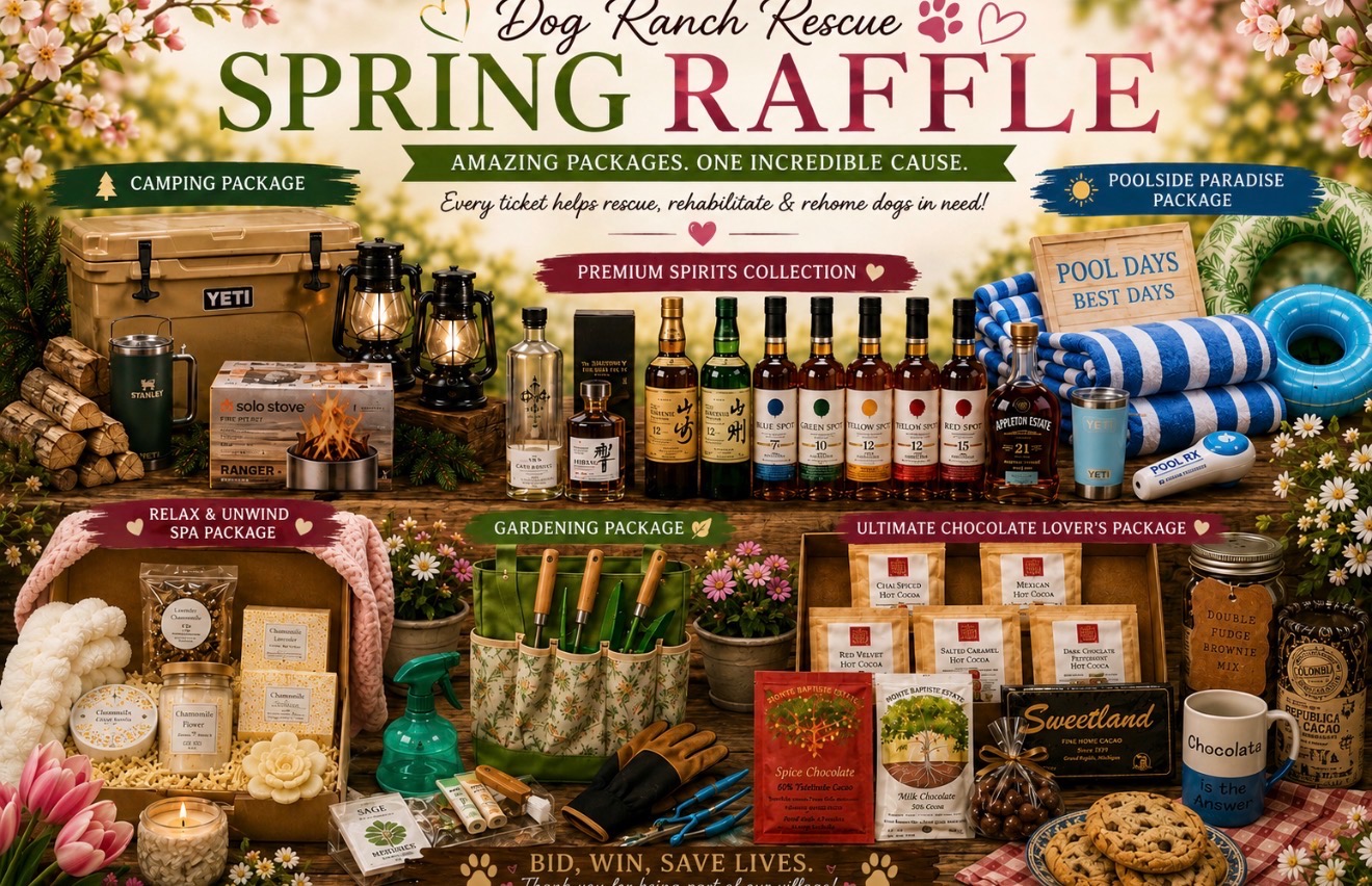 2. Tickets for the Spring Raffle Fun Packages
