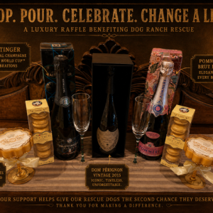 Pop the Cork, Light the Candles