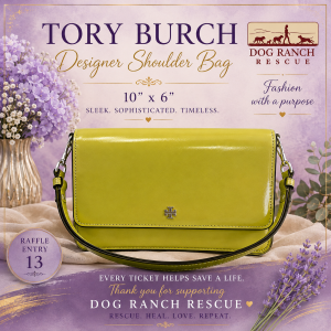 Tory Burch Designer Shoulder Bag 10 x 6