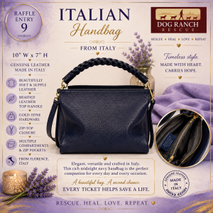 Italian Midnight Navy Leather Handbag