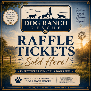 Raffle Tickets